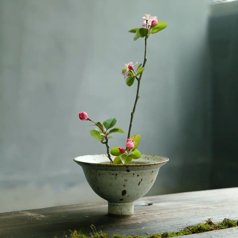  Cắm Hoa Nghệ Thuật IKebana (Kèm Đế Cắm) 