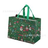  Túi Eco Giáng Sinh 