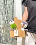  Cốc Hoa Cừu Nhỏ Vui Vẻ 