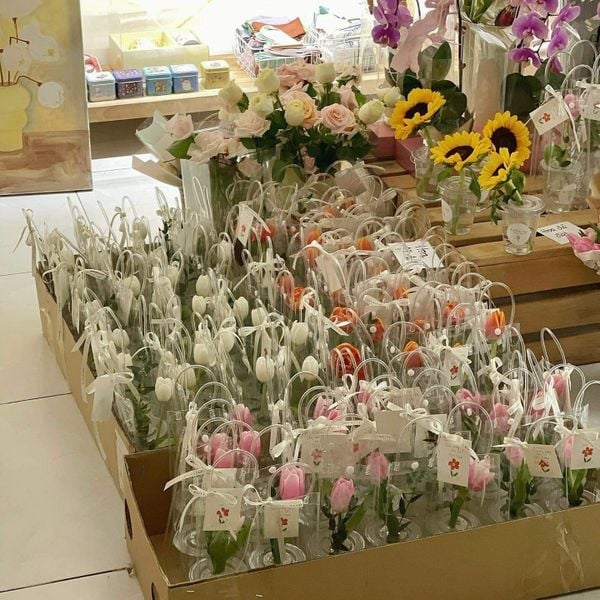  Cốc Hoa Tulip 8/3 