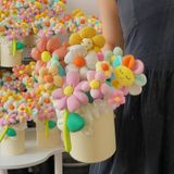  Chậu Hoa Vải Lớn 