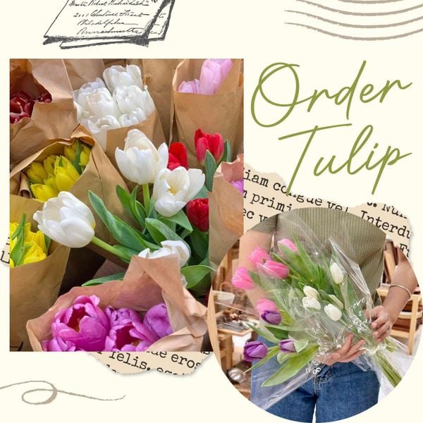  (HANOI ONLY) Hoa Tulip Trung 20/10 