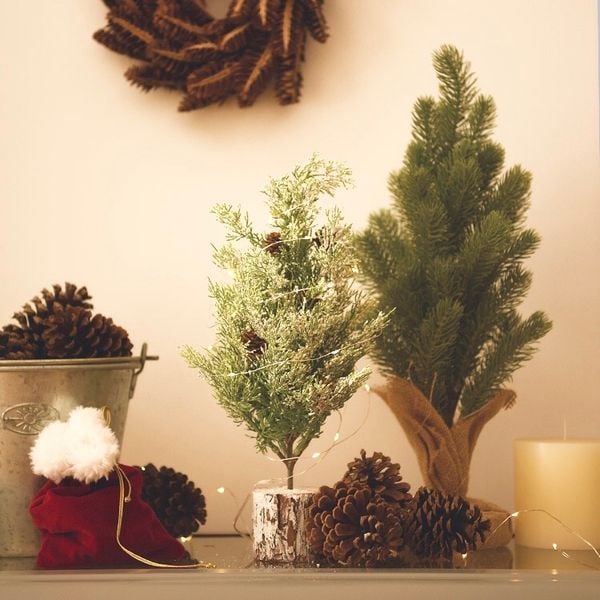  Cây Thông Đế Gỗ 