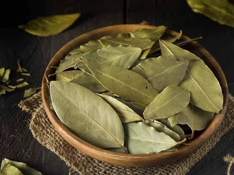  Hũ lá Nguyệt Quế 