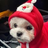  Bộ Suit Choàng Cho Thú Cưng 