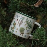  Cốc Gốm Thông Viền Xanh 