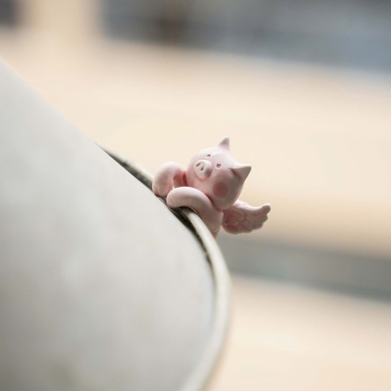  Heo Thiên Thần Trang Trí Tách Trà 