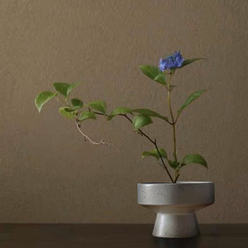  Cắm Hoa Nghệ Thuật Đế Cao 