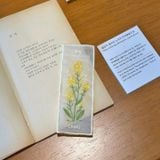  Bookmark Thêu Oimu 