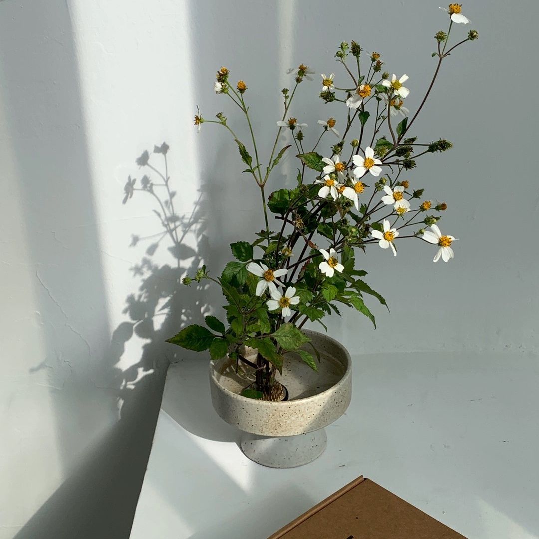  Cắm Hoa Nghệ Thuật Đế Cao 