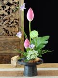  Đĩa Cắm Hoa Ikebana Đế Cao 