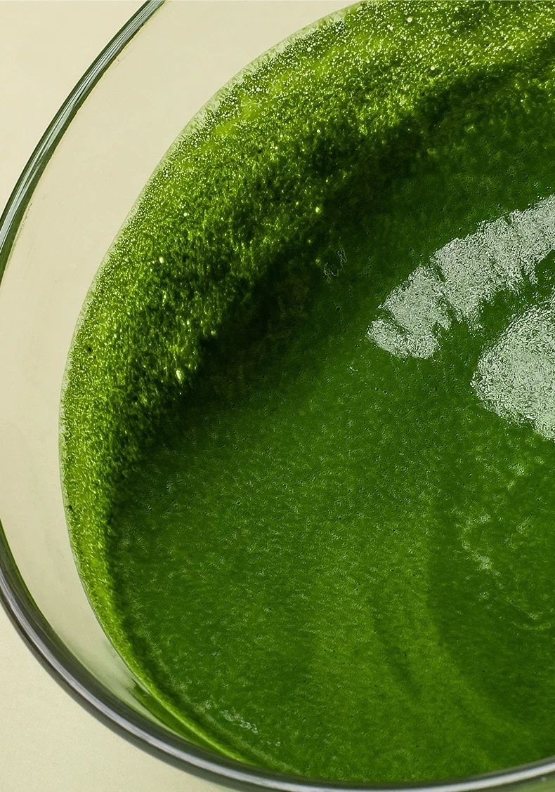  Matcha Hữu Cơ Nguyên Chất 