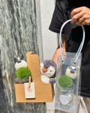  Cốc Hoa Cừu Nhỏ Vui Vẻ 