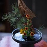  Đĩa Cắm Hoa Ikebana Đế Cao 