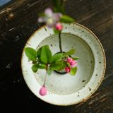  Cắm Hoa Nghệ Thuật IKebana (Kèm Đế Cắm) 