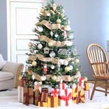  Cây Thông Noel 