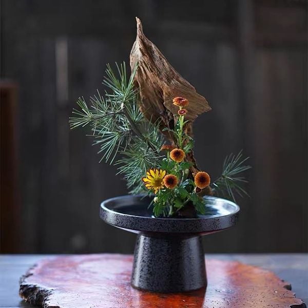  Đĩa Cắm Hoa Ikebana Đế Cao 