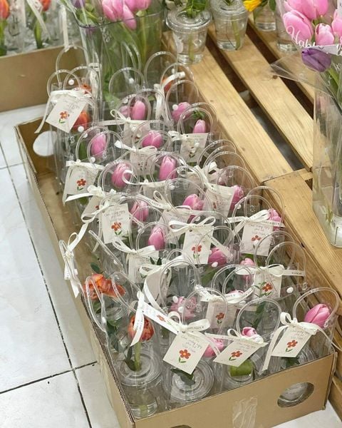  Cốc Hoa Tulip 8/3 