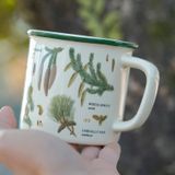  Cốc Gốm Thông Viền Xanh 