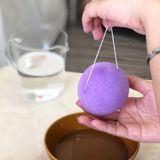  Konjac Sponge 