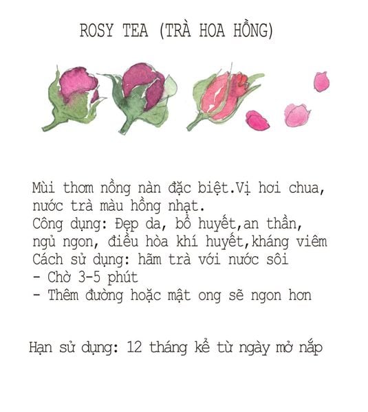  Trà Hoa Hồng 