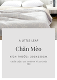  Chăn Mèo 