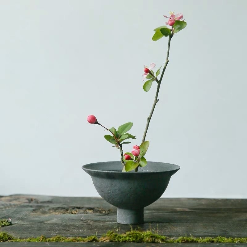  Cắm Hoa Nghệ Thuật IKebana (Kèm Đế Cắm) 