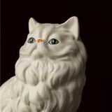  Bình Gốm Mèo Ba Tư 