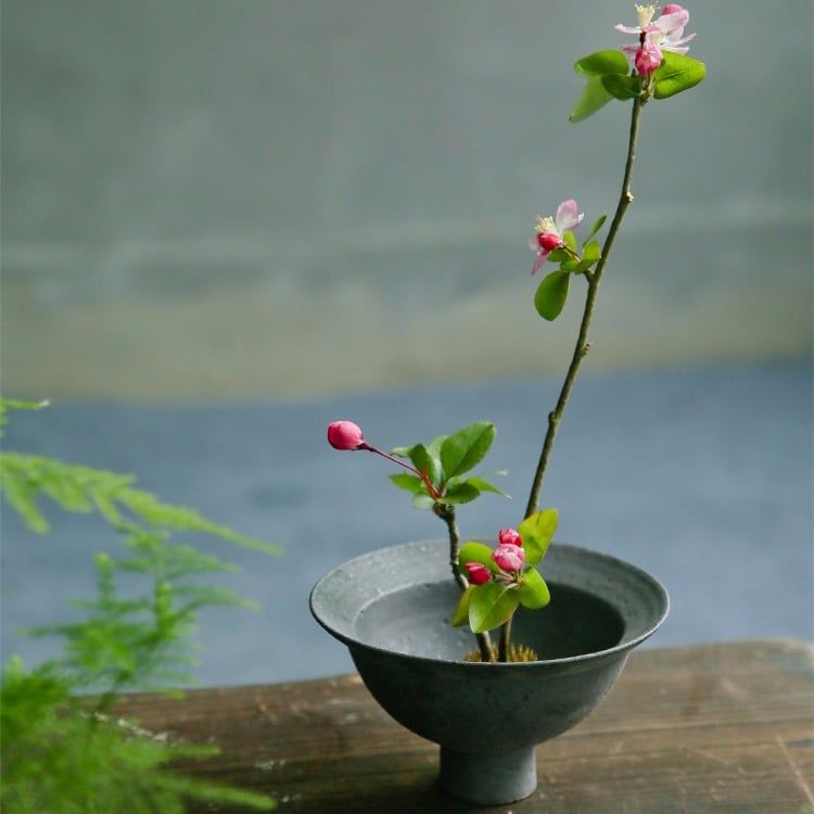  Cắm Hoa Nghệ Thuật IKebana (Kèm Đế Cắm) 