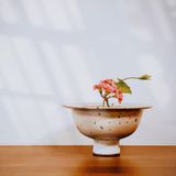  Cắm Hoa Nghệ Thuật IKebana (Kèm Đế Cắm) 