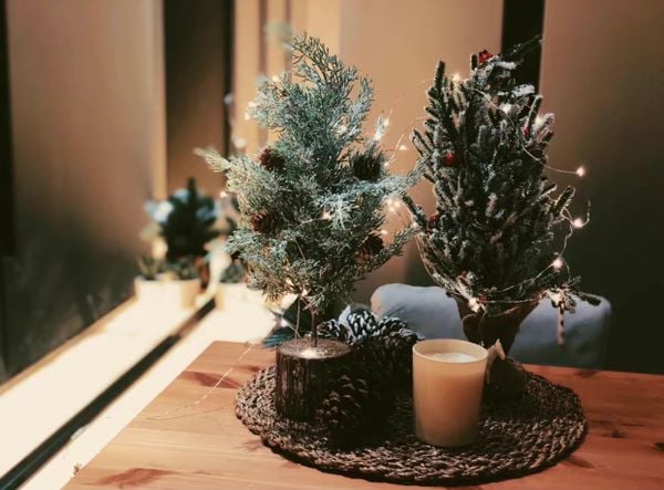  Cây Thông Đế Gỗ 