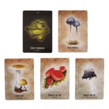  Bài Mushroom Spirit Oracle 