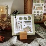  Masking Tape Nhật Bản 