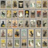  Set 78 Sitcker Lá Bài Mèo Tarot 