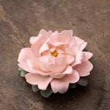  Đế Đốt Trầm Mẫu Đơn Hồng 