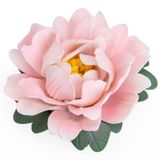  Đế Đốt Trầm Mẫu Đơn Hồng 