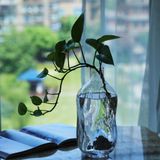  Bình Hoa Thuỷ Tinh Gợn Sóng 