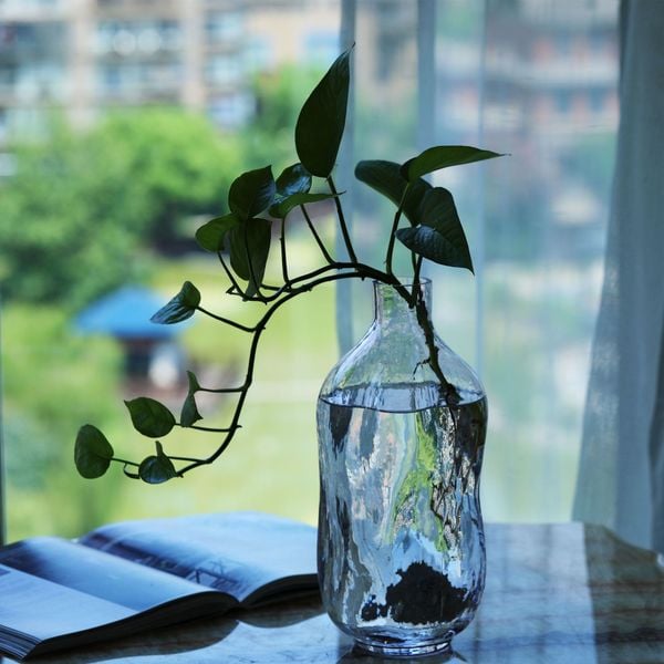  Bình Hoa Thuỷ Tinh Gợn Sóng 