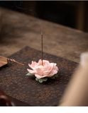  Đế Đốt Trầm Mẫu Đơn Hồng 