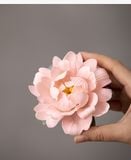  Đế Đốt Trầm Mẫu Đơn Hồng 