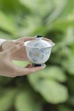  Ấm Trà Thu Hải Đường 