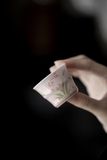  Chén Trà Hoa Lan Nhỏ Vẽ Tay 