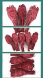  Bó Xô Thơm Dragon Blood Ngọn Đuốc 30g 