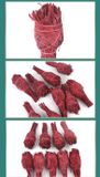  Bó Xô Thơm Dragon Blood Ngọn Đuốc 30g 