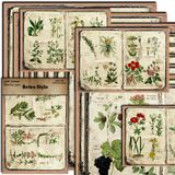  Tập Giấy Decor Cây Dương Xỉ 