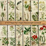  Tập Giấy Decor Cây Dương Xỉ 