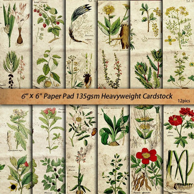  Tập Giấy Decor Cây Dương Xỉ 