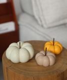  Bí Ngô Gốm Decor 