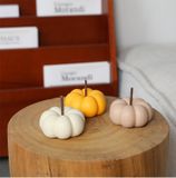  Bí Ngô Gốm Decor 