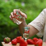  Bộ Trà Cụ Thuỷ Tinh Berry 